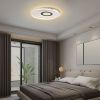 Ceiling Light