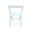 FOLDING CHAIR-2/S, FOLDABLE STYLE -WHITE