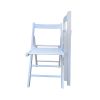 FOLDING CHAIR-2/S, FOLDABLE STYLE -WHITE