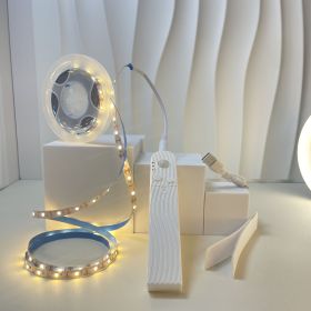 Led Human Body Induction Light With Bed Bottom Atmosphere (Option: Waterproof Light Strip 1 M-Warm White Charging)